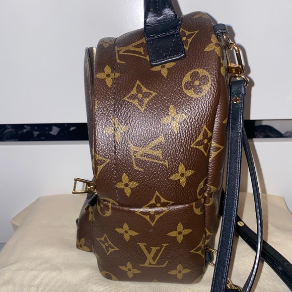 Louis Vuitton Palm Springs Mini - Picture 9 of 13